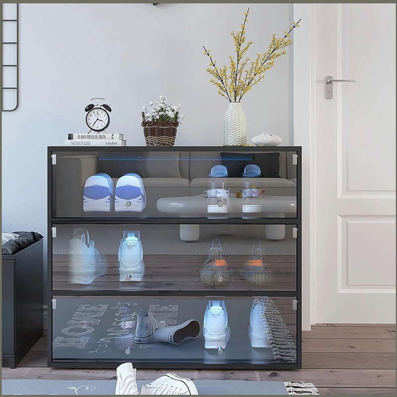 Armoire de rangement pour chaussures avec porte en verre, Noir