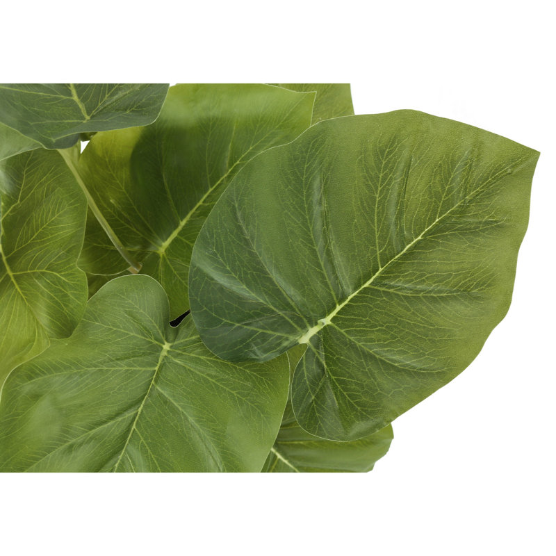 Plante 12,5 po Mcclellan