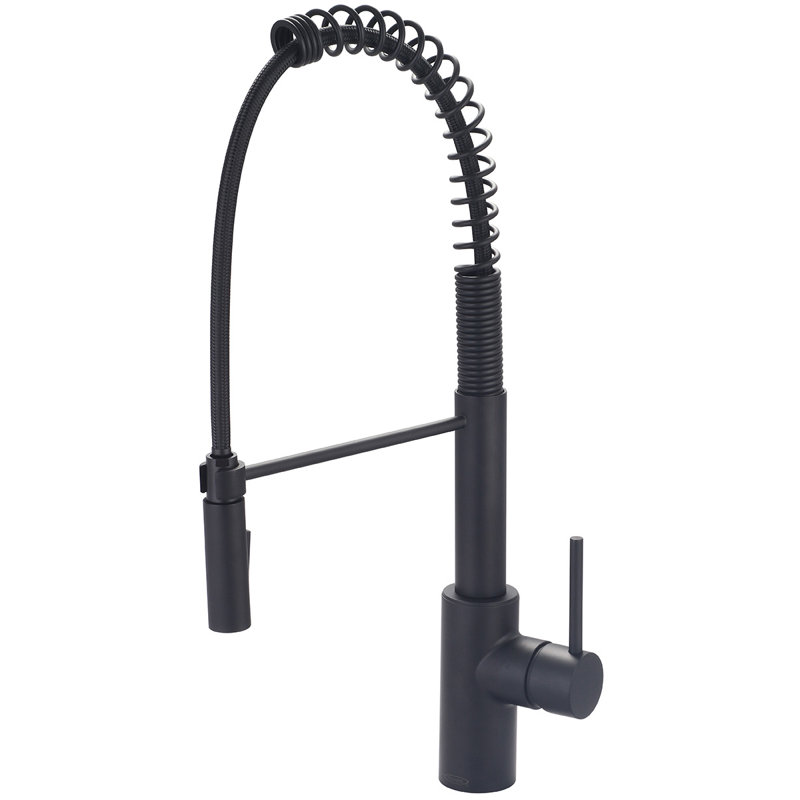Pioneer Motegi Pull Down Kitchen Faucet, 22.75, Matte Black