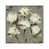 White Framed selected