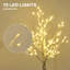 Lighted Trees & Branches