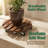 2-pack Carbonized Wood Plant Caddy With Locking Wheels, 12" Square Rolling Planter Base