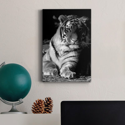 «Tiger Repose», toile tendue avec châssis de qualité supérieure - prête à être accrochée