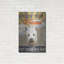  «Dog Days - Pek Pup» par Art Licensing Studio, art mural en métal, 24 po x 36 po