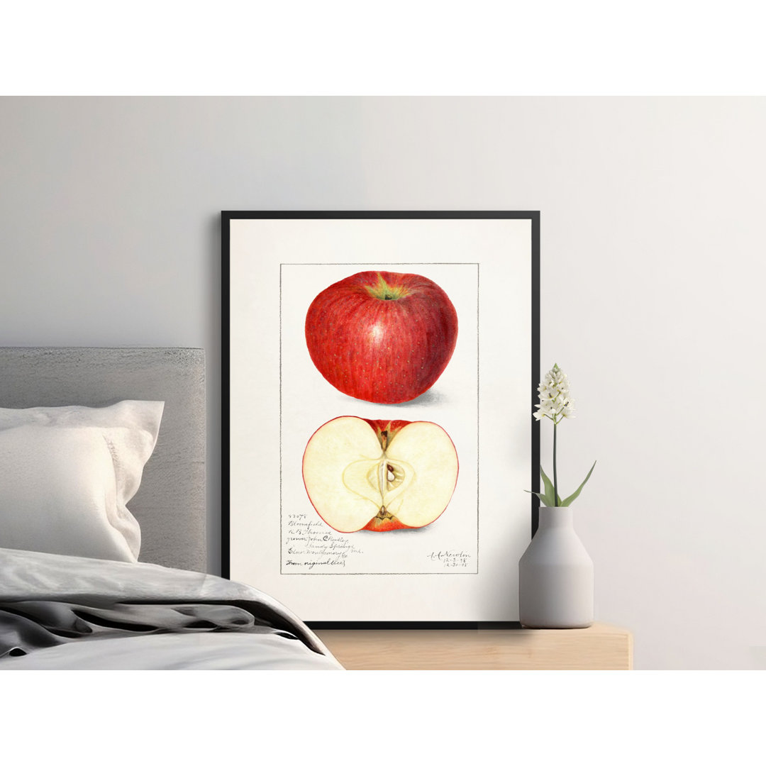 No Frame Print