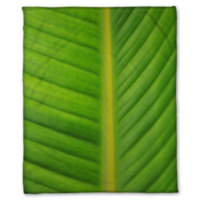 Coral Fleece Blanket, Bird of Paradise II by Kelly Wade