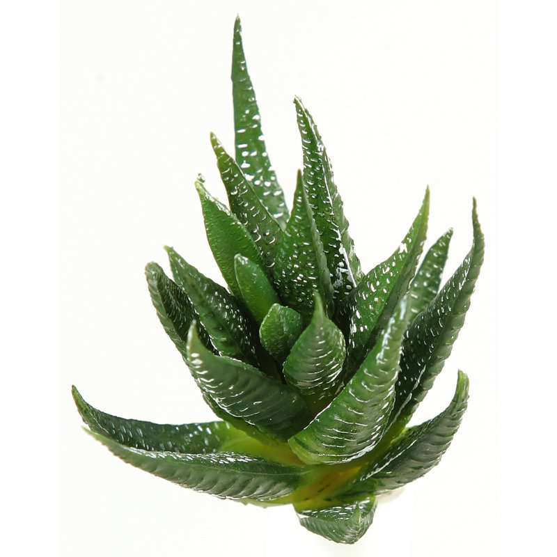 5'' Faux Spikey Succulent Plant