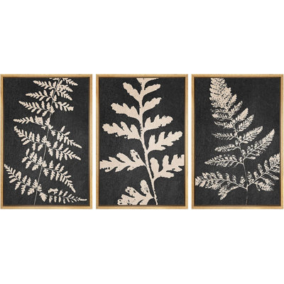 Forêt, fougère, plante, silhouette, nature sauvage, illustrations - ensemble de 3 peintures sur toile