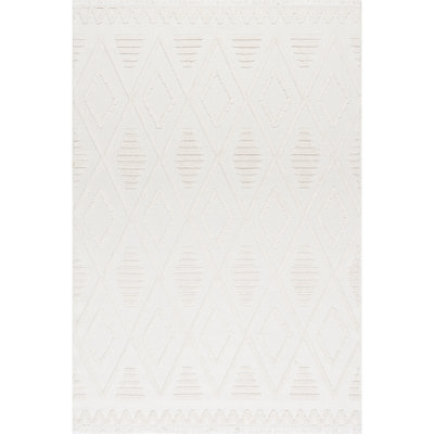 Annaka Trellis Fringe Area Rug