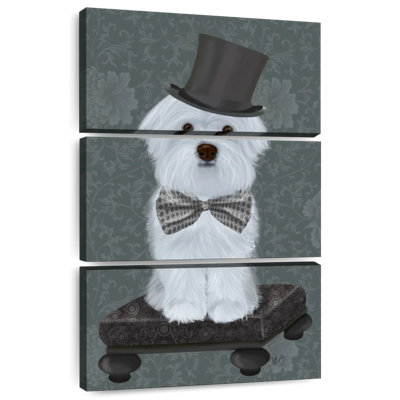 Brampt Maltese With Top Hat