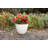 Hornsby Outdoor Pot Planter-1624355792