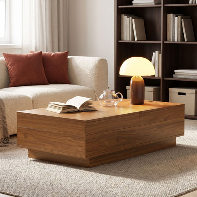 Table basse de salon Roanoke (avec fonction de rangement), mobilier de salon moderne, brun