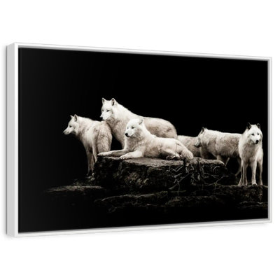Loups blancs