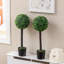 60cm Faux Boxwood Topiary in Pot