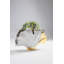 Vase Ginkgo Elegance 45cm