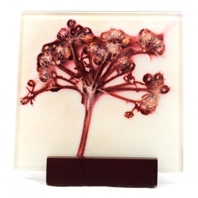 Glass Square 2 Piece Coaster Set