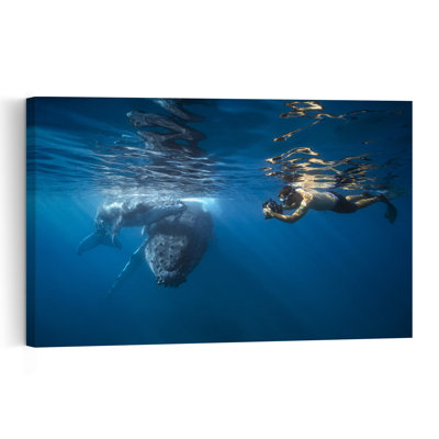 Humpback Whale And Snorkeler Abstract Contemporary Whale Nature Ocean Wall Art Print 1 Piece Wrapped Canvas Wall Art