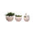Latitude Run® Valdiva Planters, 3 Pieces