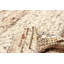 Tapis brun Sienna 5 pi 4 po x 7 pi 4 po