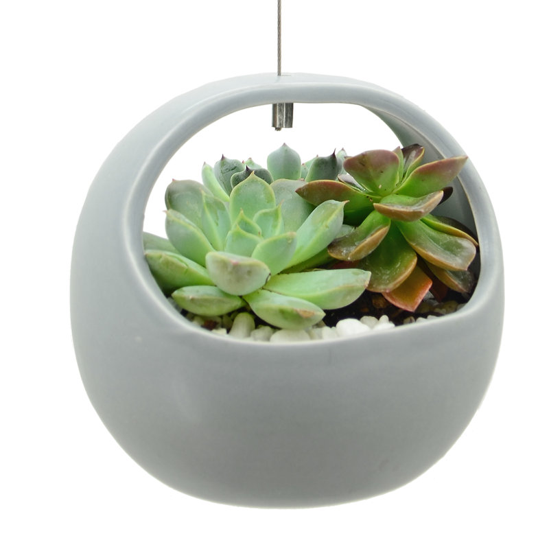 Pot à fleurs suspendu en céramique Farringdon, Gris clair