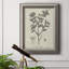 «Antique Black & White Botanical VIII», reproduction d'art sur toile encadrée-1545731141