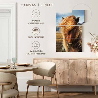 Brampt, chevaux islandais dans la campagne I