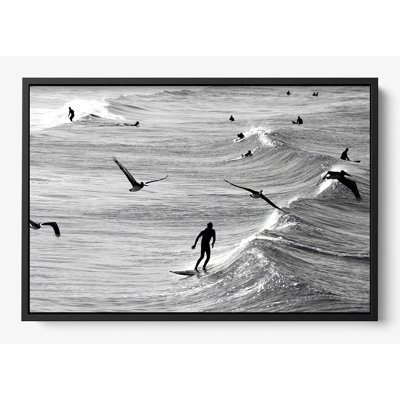 «Surfing With The Free»
