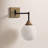Hallas 1-Light Dimmable Swing Arm Sconce