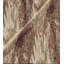 Fossil Fabric