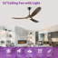 Ceiling Fan With Remote-1676954803-1648873973