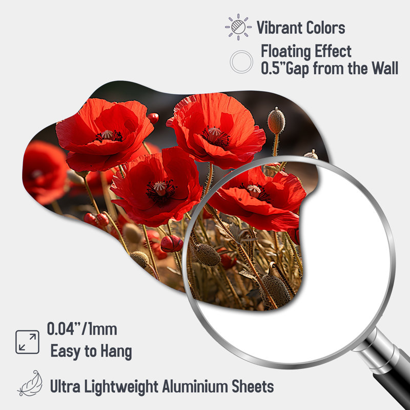 Courtois - coquelicots nuage art mural, impression asymétrique traditionnelle sur métal, H 22 po x l 30 po