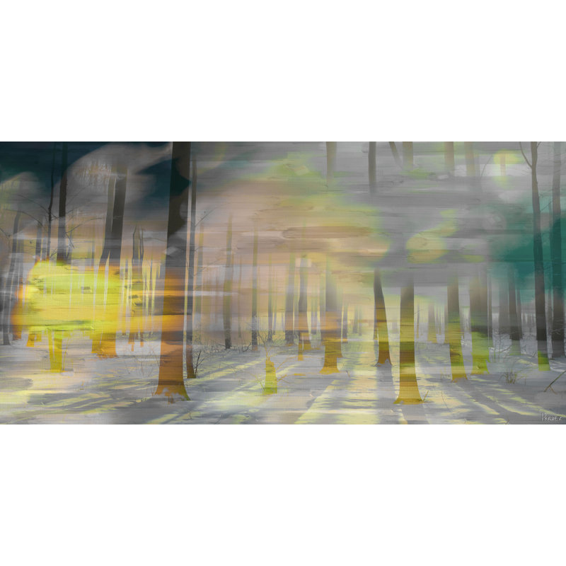 Parvez Taj - Wrapped Canvas Print, 57cm H x 114cm W