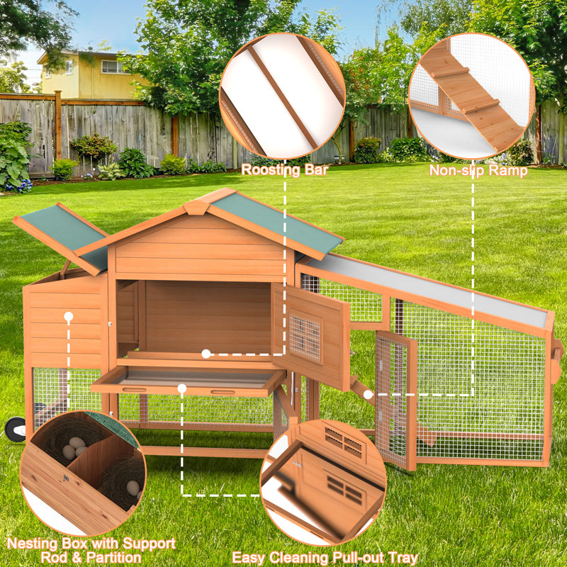 Cage à poules mobile avec roulettes