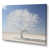 Wrapped Canvas