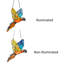 Vitrail Macaw