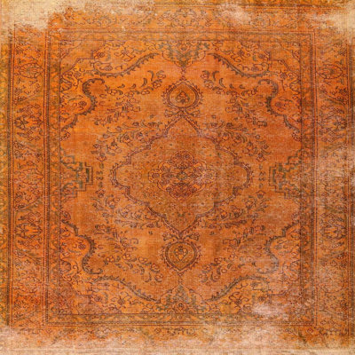 Coleharbor Oriental Indoor Rug