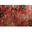 Tapis rouge Antalya 3 pi 11 po x 6 pi 11 po