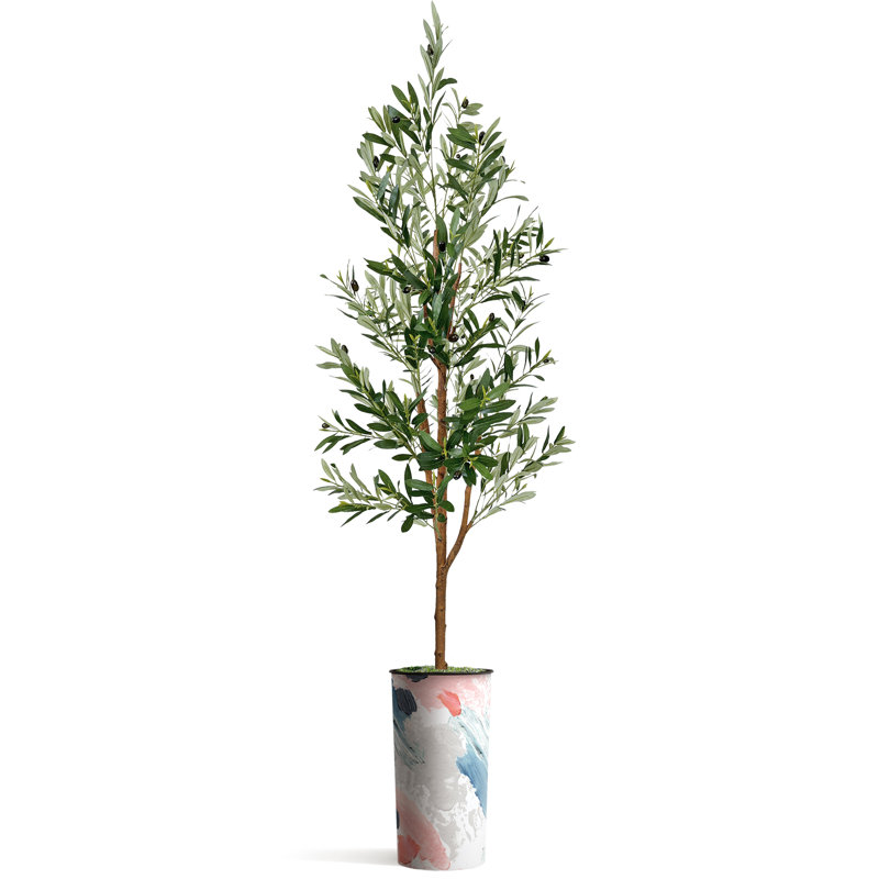 68 plantes, Effet de peinture rose
