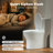 Modern One Piece Toilets With 17.5" ADA Comfort Height & Soft‑Close Seat - 1.28 GPF Single Flush, 1000G Score, 12" Rough‑In One Piece Toilet