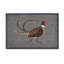 Non-Slip Indoor Doormat
