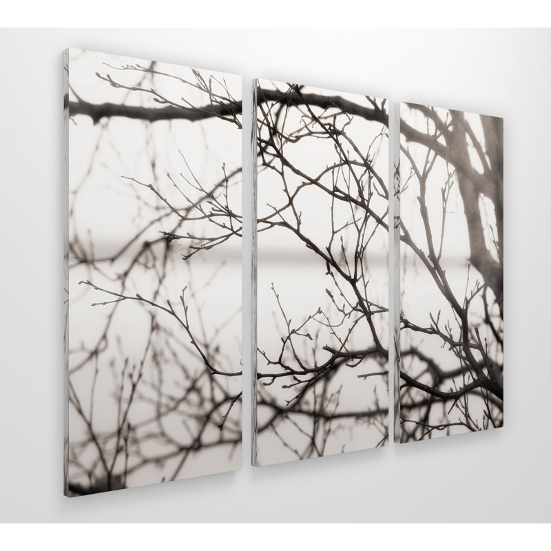 Après la pluie - reproduction de photo sur toile, 24 po x 36 po