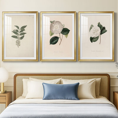 Vintage Floral Print CLXXII  -Custom Framed  Premium Print W Matt - 3 Pieces