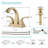 Centerset Faucet 2-handle Bathroom Sink Faucet with Drain Assembly-92300191