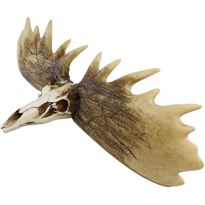 Ayven Animals Bust