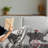 Ambesonne Bear Fleece Throw Blanket Funny Frames Drawing Style Multicolor-106600197