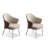 Gray Solid back side Chair(Set of 2)