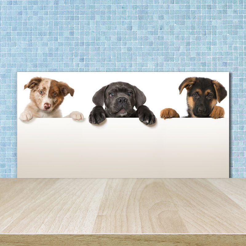 Loften 50cm W x 100cm L Glass Peel and Stick Panel