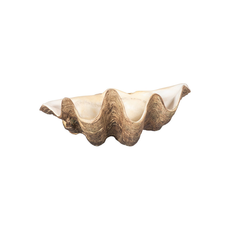 Unreal Cast Clam Shell Bowl, 7" H x 16" W x 11" D