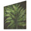 «Green Fern Forest Beauty I» - fougères sur bois-1494232764