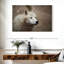 Loup blanc arctique-107887659